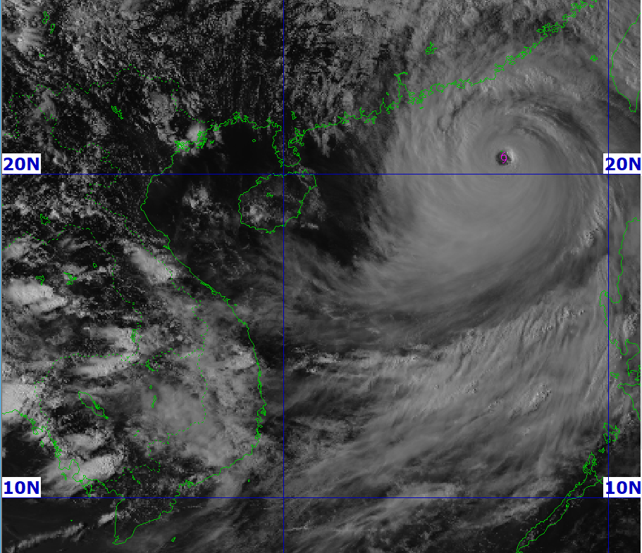 Ứng phó với siêu bão Ragasa, tuyệt đối không để bị động, bất ngờ Ứng phó với siêu bão Ragasa, tuyệt đối không để bị động, bất ngờ
