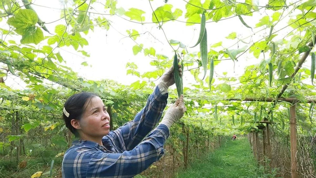 Đổi mới sản xuất, chú trọng bảo vệ môi trường Đổi mới sản xuất, chú trọng bảo vệ môi trường