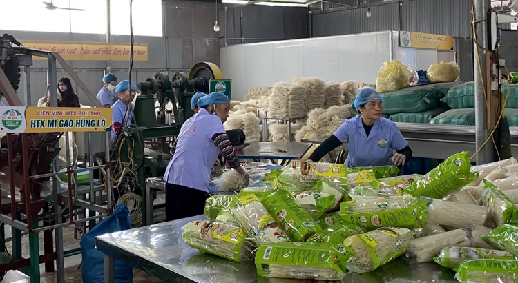 Phú Thọ: Siết chặt an toàn thực phẩm tạo đà cho OCOP vươn xa