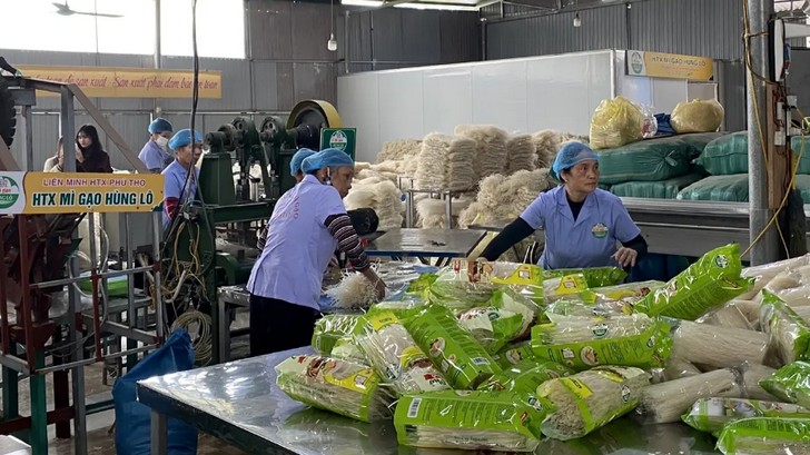Phú Thọ: Siết chặt an toàn thực phẩm tạo đà cho OCOP vươn xa