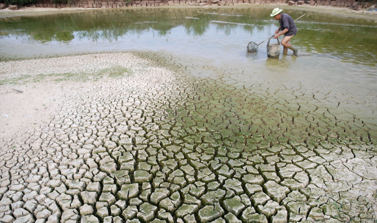 Cường độ El Niño tăng mạnh, chủ động ứng phó giảm thiểu rủi ro