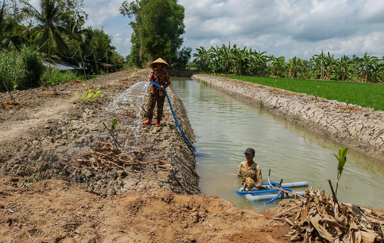 Cường độ El Niño tăng mạnh, chủ động ứng phó giảm thiểu rủi ro