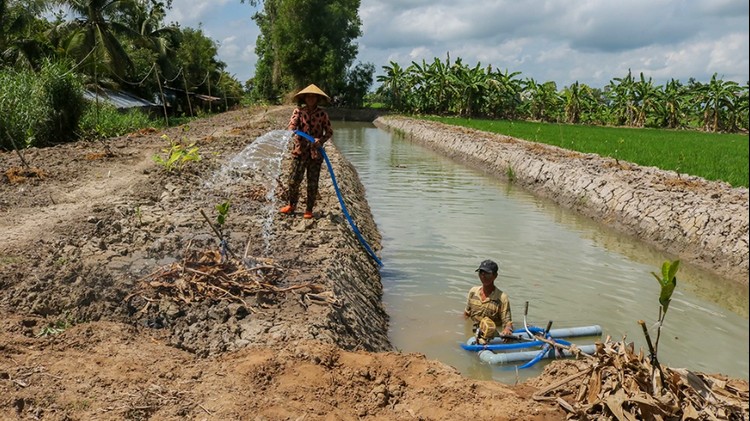 Cường độ El Niño tăng mạnh, chủ động ứng phó giảm thiểu rủi ro