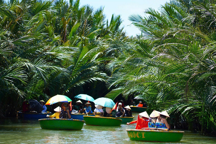 Rừng dừa Bảy Mẫu Cẩm Thanh: Điểm sáng bảo tồn di sản và phát huy sáng tạo Rừng dừa Bảy Mẫu Cẩm Thanh: Điểm sáng bảo tồn di sản và phát huy sáng tạo