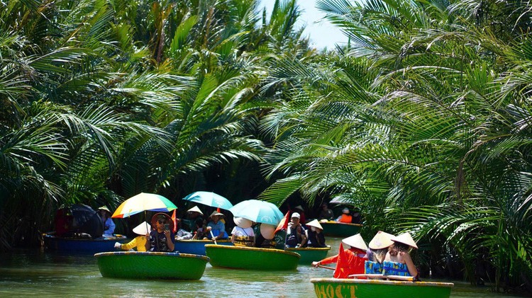 Rừng dừa Bảy Mẫu Cẩm Thanh: Điểm sáng bảo tồn di sản và phát huy sáng tạo