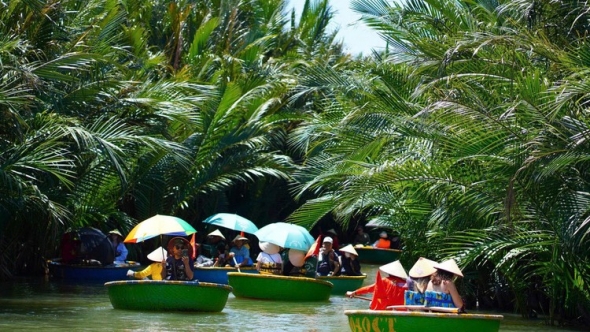 Rừng dừa Bảy Mẫu Cẩm Thanh: Điểm sáng bảo tồn di sản và phát huy sáng tạo