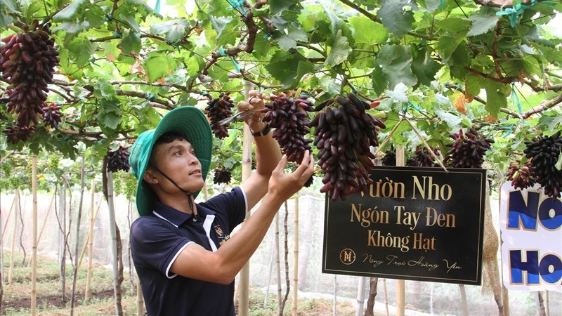 Công nghệ tưới tiết kiệm góp phần đảm bảo nguồn nước sản xuất trong mùa khô