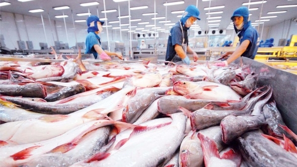 Thêm cơ hội cho thủy sản Việt Nam tại Nhật Bản