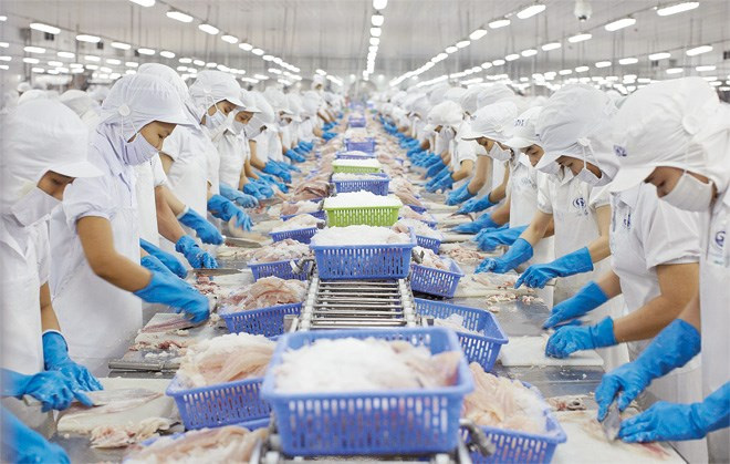 Thị trường xuất khẩu thủy sản đang bước vào giai đoạn khó dự báo hơn