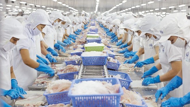 Thị trường xuất khẩu thủy sản đang bước vào giai đoạn khó dự báo hơn