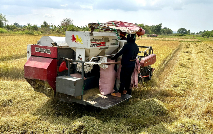 Lợi ích kép trong canh tác lúa giảm phát thải