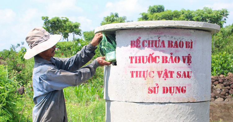 Lợi ích kép trong canh tác lúa giảm phát thải