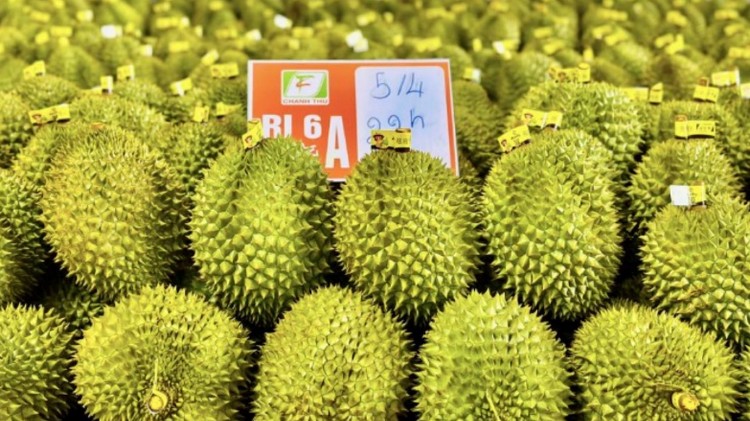 Mã số vùng trồng nâng chuẩn nông sản xuất khẩu