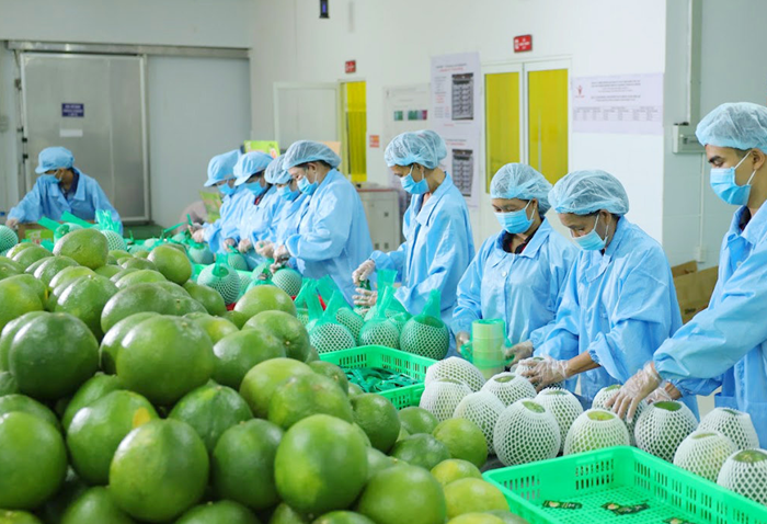 Kim ngạch xuất khẩu nông lâm thủy sản 9 tháng ước đạt 56,3 tỷ USD