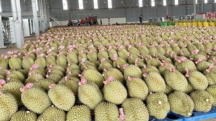Mở rộng hợp tác, gia tăng giá trị chuỗi sản xuất