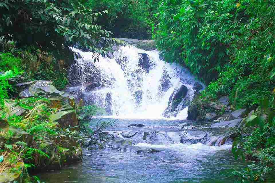 Phú Thọ thu hồi dự án hơn 820ha của Louis Capital