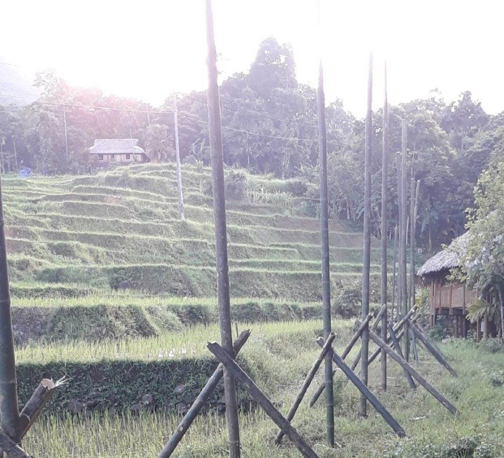 Bá Thước (Thanh Hóa): Xây dựng công trình trái phép trên đất rừng và đất nông nghiệp Bá Thước (Thanh Hóa): Xây dựng công trình trái phép trên đất rừng và đất nông nghiệp