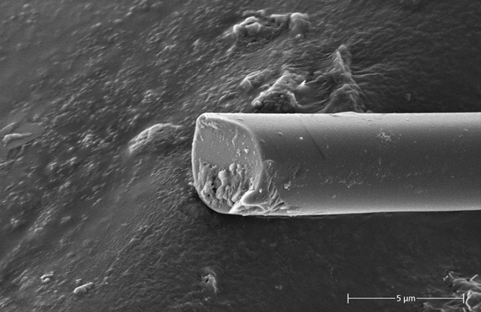 Trung Quốc chế tạo thành công sợi siêu bền từ tơ tằm tự nhiên Trung Quốc chế tạo thành công sợi siêu bền từ tơ tằm tự nhiên