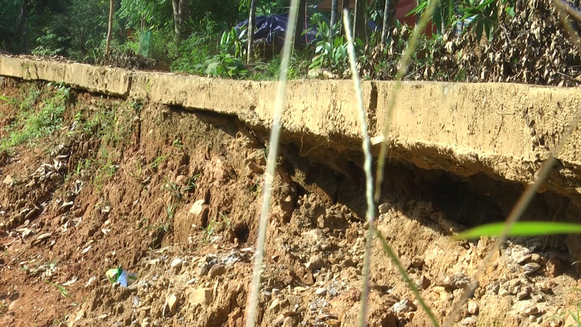 Công ty Tân Tiến đổ thải ra môi trường gây ảnh hưởng đến hàng chục hộ dân Công ty Tân Tiến đổ thải ra môi trường gây ảnh hưởng đến hàng chục hộ dân