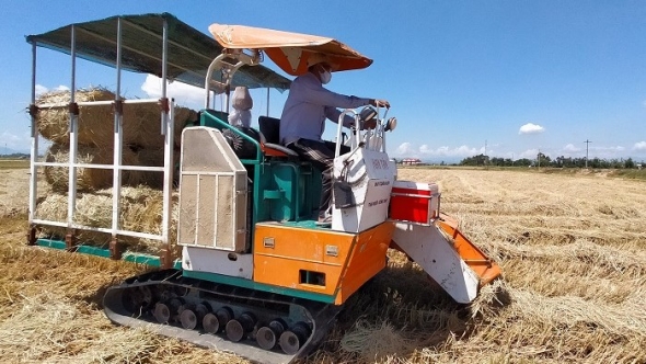 Hiệu quả từ mô hình máy cuộn rơm sau thu hoạch