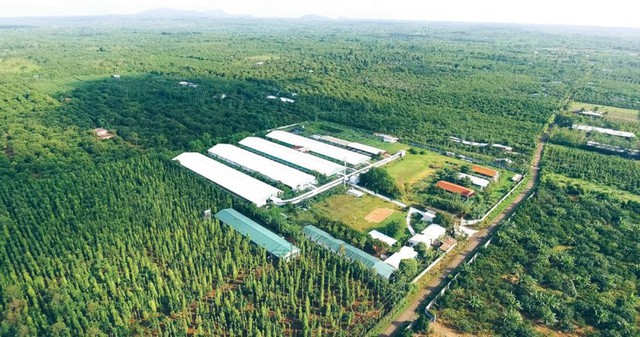 Phát triển xanh – Xu thế tất yếu với doanh nghiệp Việt Nam Phát triển xanh – Xu thế tất yếu với doanh nghiệp Việt Nam