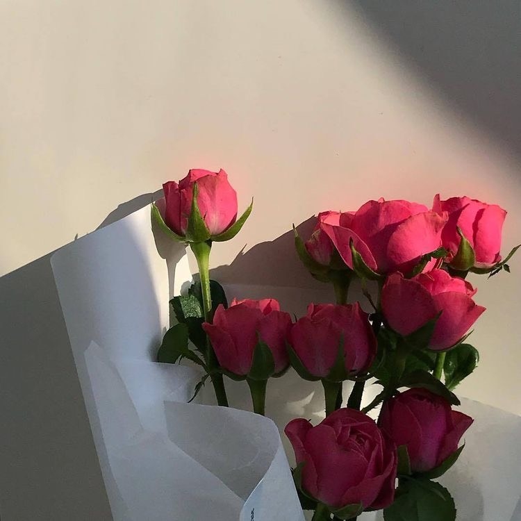 Tử vi 12 con giáp ngày 15/10/2023: