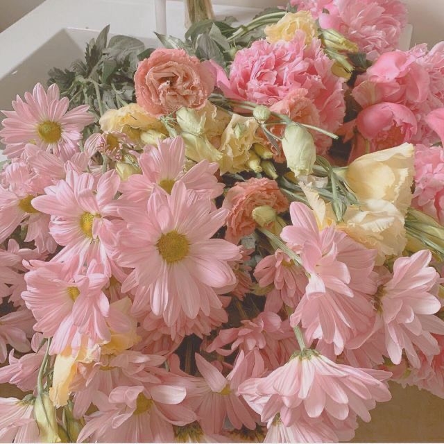 Tử vi 12 con giáp ngày 18/10/2023: Tuổi Dần trục trặc tình cảm, tuổi Ngọ khởi sắc