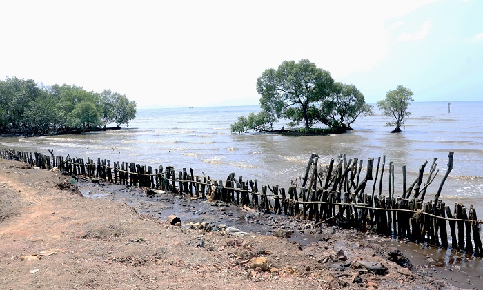Kiên Giang cấp bách phòng chống xâm thực, xói lở bờ biển