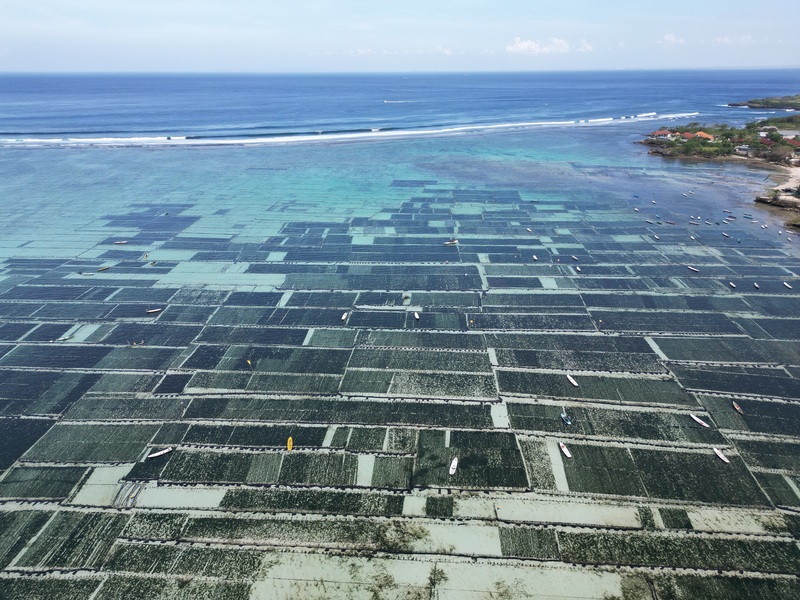 Kinh nghiệm phát triển du lịch xanh từ thiên đường Bali Kinh nghiệm phát triển du lịch xanh từ thiên đường Bali
