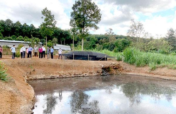 Kiểm soát, ngăn chặn ô nhiễm môi trường trong chăn nuôi Kiểm soát, ngăn chặn ô nhiễm môi trường trong chăn nuôi