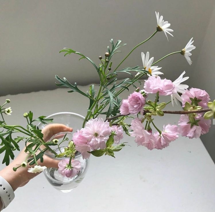 Tử vi 12 con giáp ngày 24/10/2023: Tuổi Tý tình cảm mâu thuẫn, tuổi Thân cơ hội phát triển