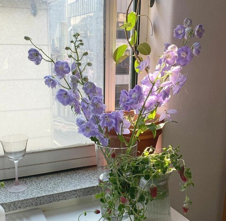 Tử vi 12 con giáp ngày 26/10/2023: Tuổi Tý nguy cơ mâu thuẫn, tuổi Ngọ vô cùng hanh thông