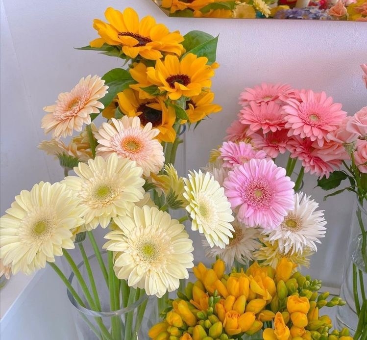 Tử vi 12 con giáp ngày 27/10/2023: Tuổi Sửu thiếu tập trung, tuổi Mùi cơ hội tăng tiến