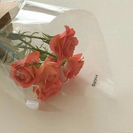 Tử vi 12 con giáp ngày 31/10/2023: Tuổi Ngọ gặp quý nhân, tuổi Tý mất tiền bạc