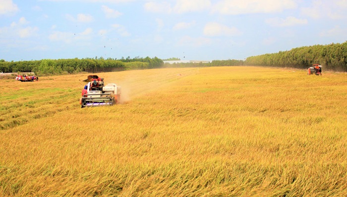 Ứng dụng công nghệ cao góp phần phát triển nông nghiệp bền vững Ứng dụng công nghệ cao góp phần phát triển nông nghiệp bền vững