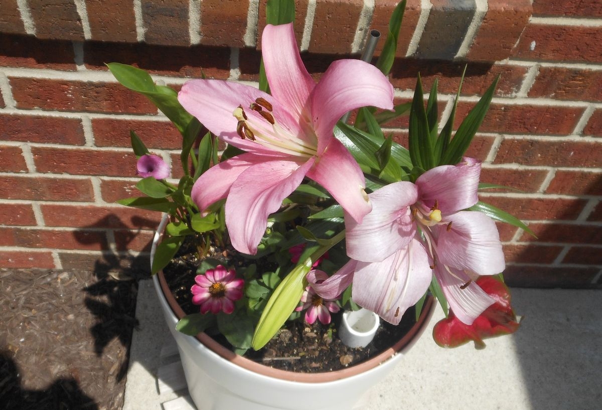 Tử vi vòng quay công nghệ ngày 9/10/2025: Tuổi Tý tài lộc ổn định, tuổi Thân cảm thấy bất an Tử vi vòng quay công nghệ ngày 9/10/2025: Tuổi Tý tài lộc ổn định, tuổi Thân cảm thấy bất an