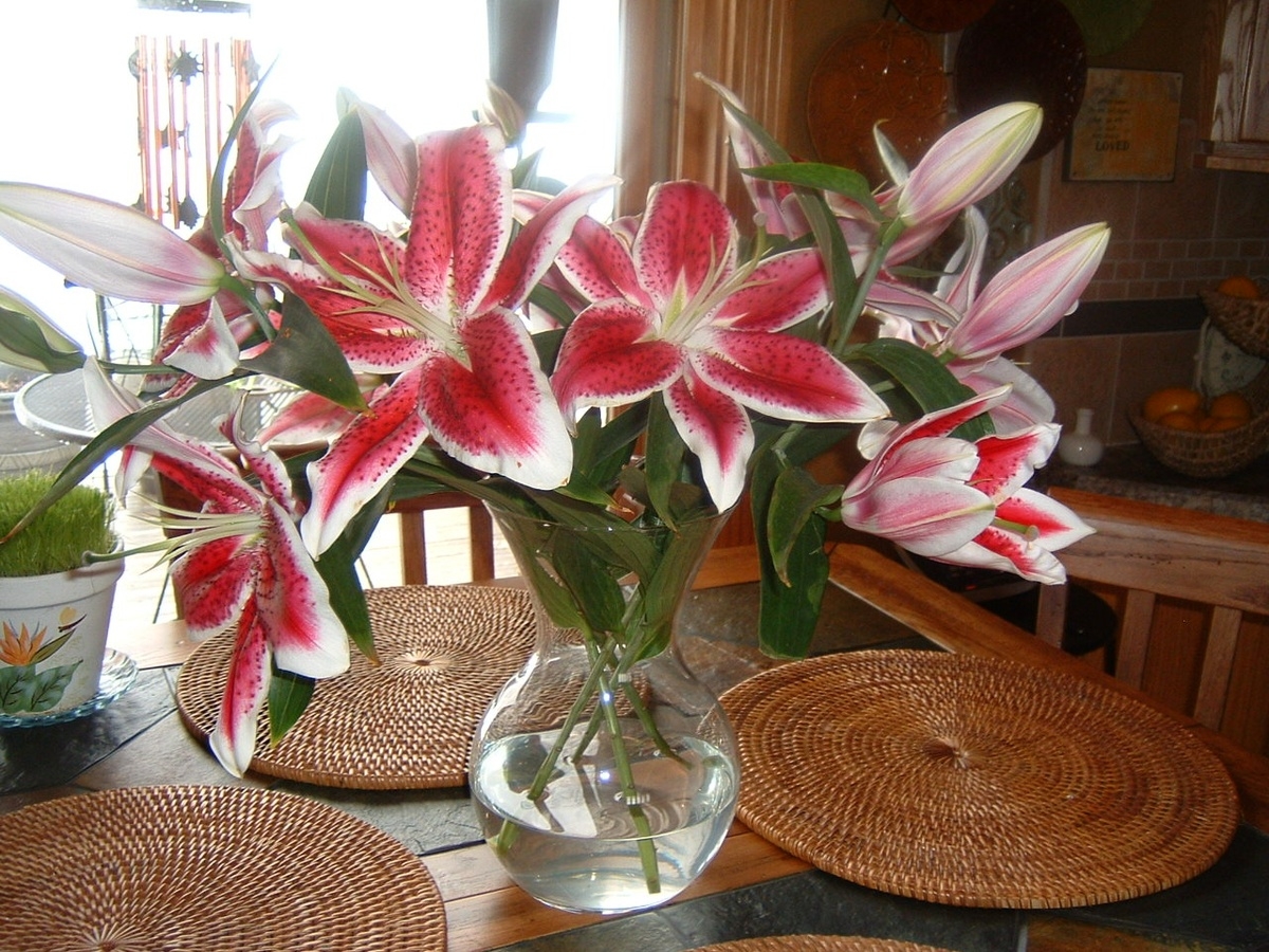 Tử vi vòng quay công nghệ ngày 9/10/2025: Tuổi Tý tài lộc ổn định, tuổi Thân cảm thấy bất an Tử vi vòng quay công nghệ ngày 9/10/2025: Tuổi Tý tài lộc ổn định, tuổi Thân cảm thấy bất an