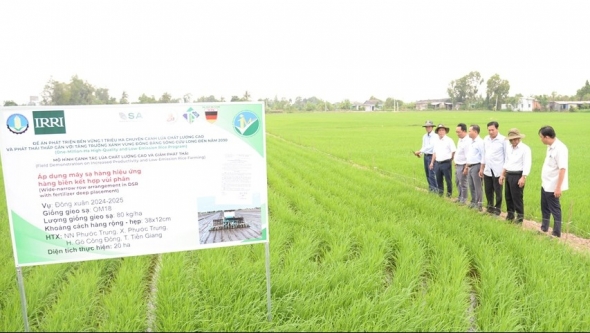 Ứng dụng công nghệ trong canh tác lúa chất lượng cao, phát thải thấp