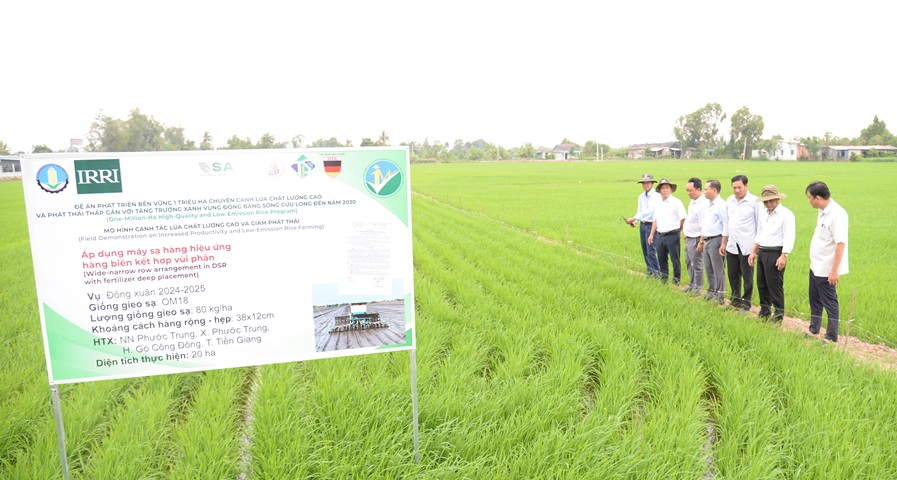 Ứng dụng công nghệ trong canh tác lúa chất lượng cao, phát thải thấp