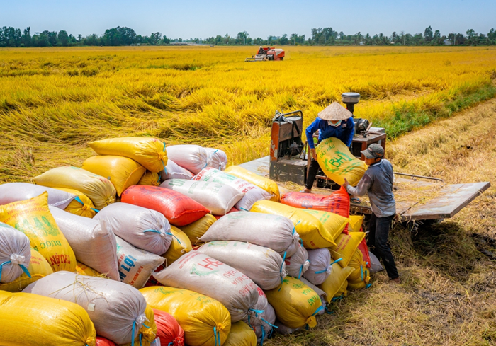 Ngành nông nghiệp và môi trường hướng phát triển xanh và tăng trưởng hai con số Ngành nông nghiệp và môi trường hướng phát triển xanh và tăng trưởng hai con số