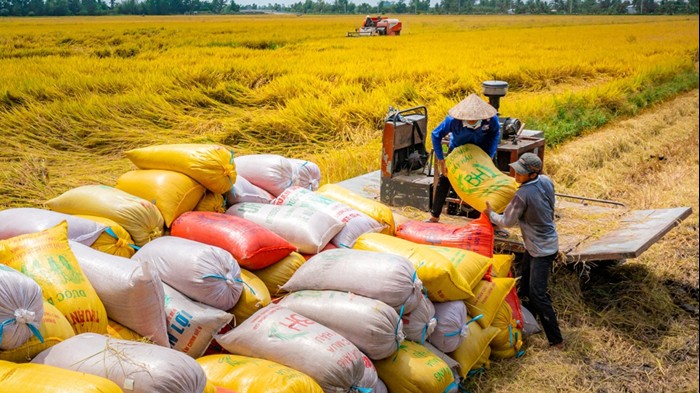Ngành nông nghiệp và môi trường hướng phát triển xanh và tăng trưởng hai con số