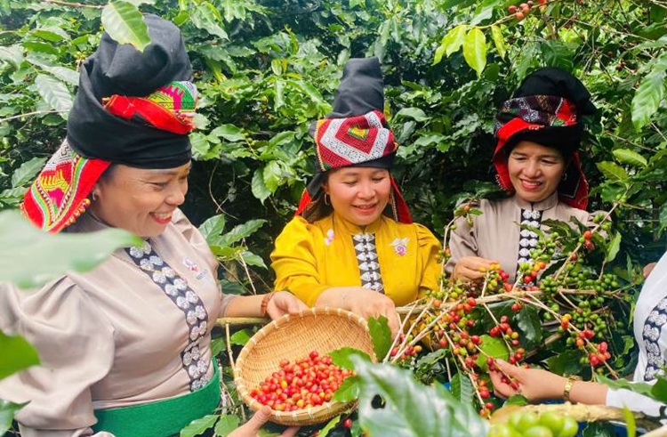 Kiểm soát nguồn thải trong chế biến nông sản