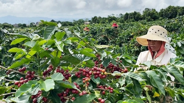 Nông sản vươn xa từ nền tảng thương mại điện tử