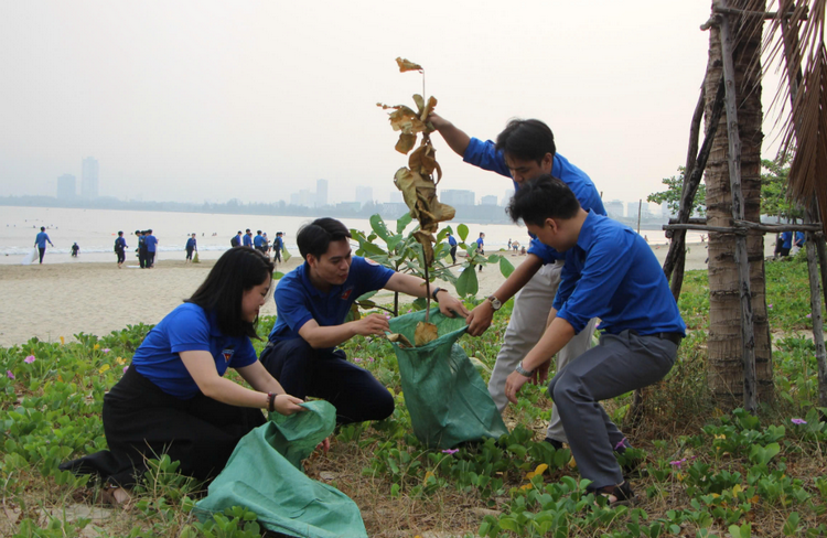 Bảo đảm vệ sinh môi trường, tạo diện mạo đô thị văn minh Bảo đảm vệ sinh môi trường, tạo diện mạo đô thị văn minh
