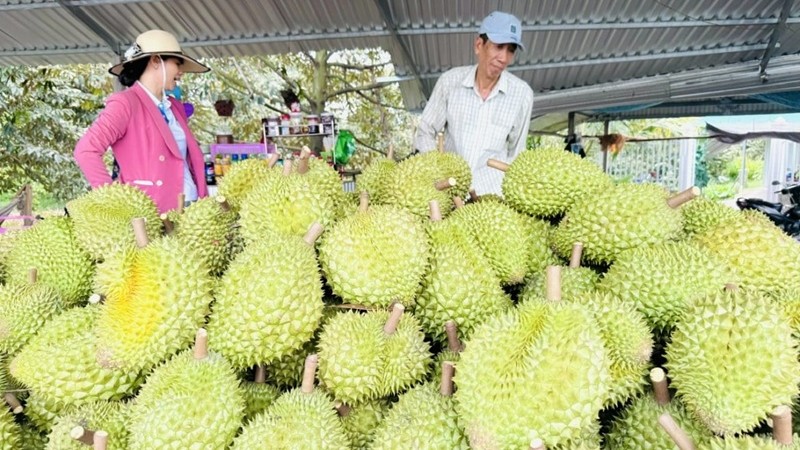 Xuất khẩu rau quả tăng tốc hoàn thành mục tiêu trong năm 2026