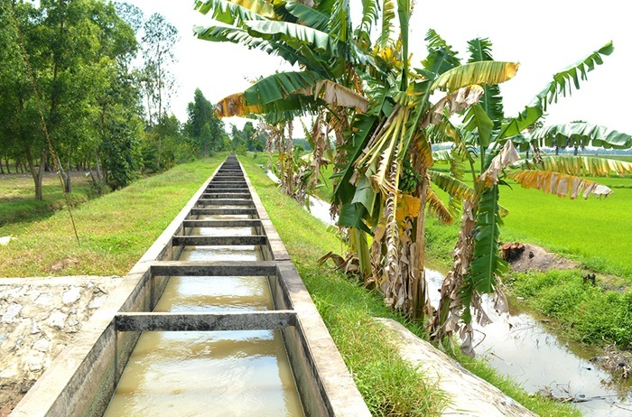 Sản xuất nông nghiệp những tháng cuối năm 2026 và năm 2027