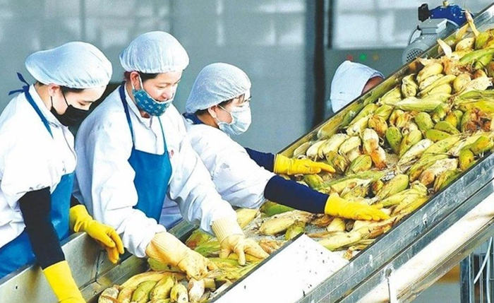 Gắn kết hài hòa phát triển kinh tế với văn hóa, xã hội, môi trường, bảo đảm an sinh xã hội