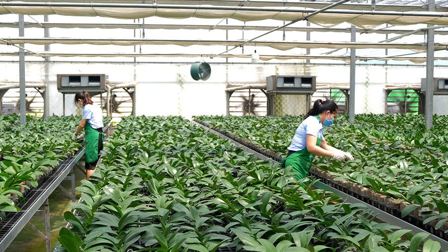 Sản xuất nông nghiệp xanh, thích ứng với biến đổi khí hậu