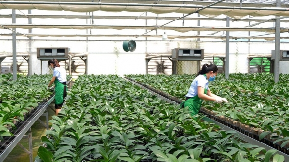 Sản xuất nông nghiệp xanh, thích ứng với biến đổi khí hậu