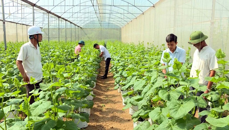 Phát triển khoa học-công nghệ phục vụ tăng trưởng ngành nông nghiệp và môi trường